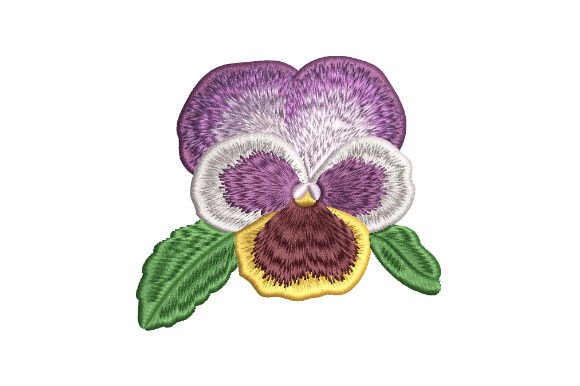 Download Pansy Flower Bud - Premium Bundle