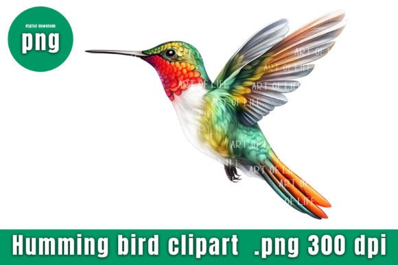 Download Illustrations Hummingbird - Premium Bundle